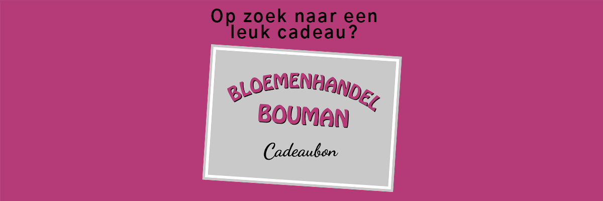 wij verkopen ook cadeaukaarten